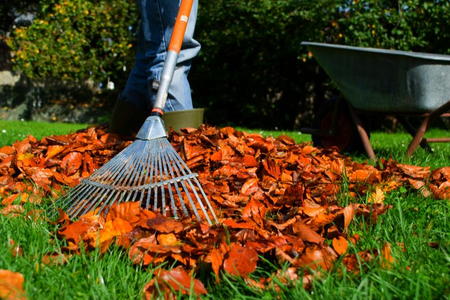 Getting Your Lawn Ready for Winter | DoItYourself.com
