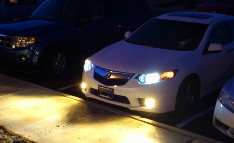 Yellow fog lights on Acura TSX
