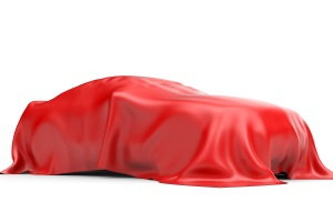 car cover for storage