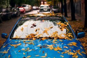 car covered in leaves