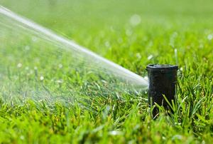 Water Sprinkler Head Spraying New Grass