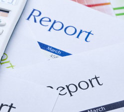 Credit Reports, Credit Ratings and Credit Scores