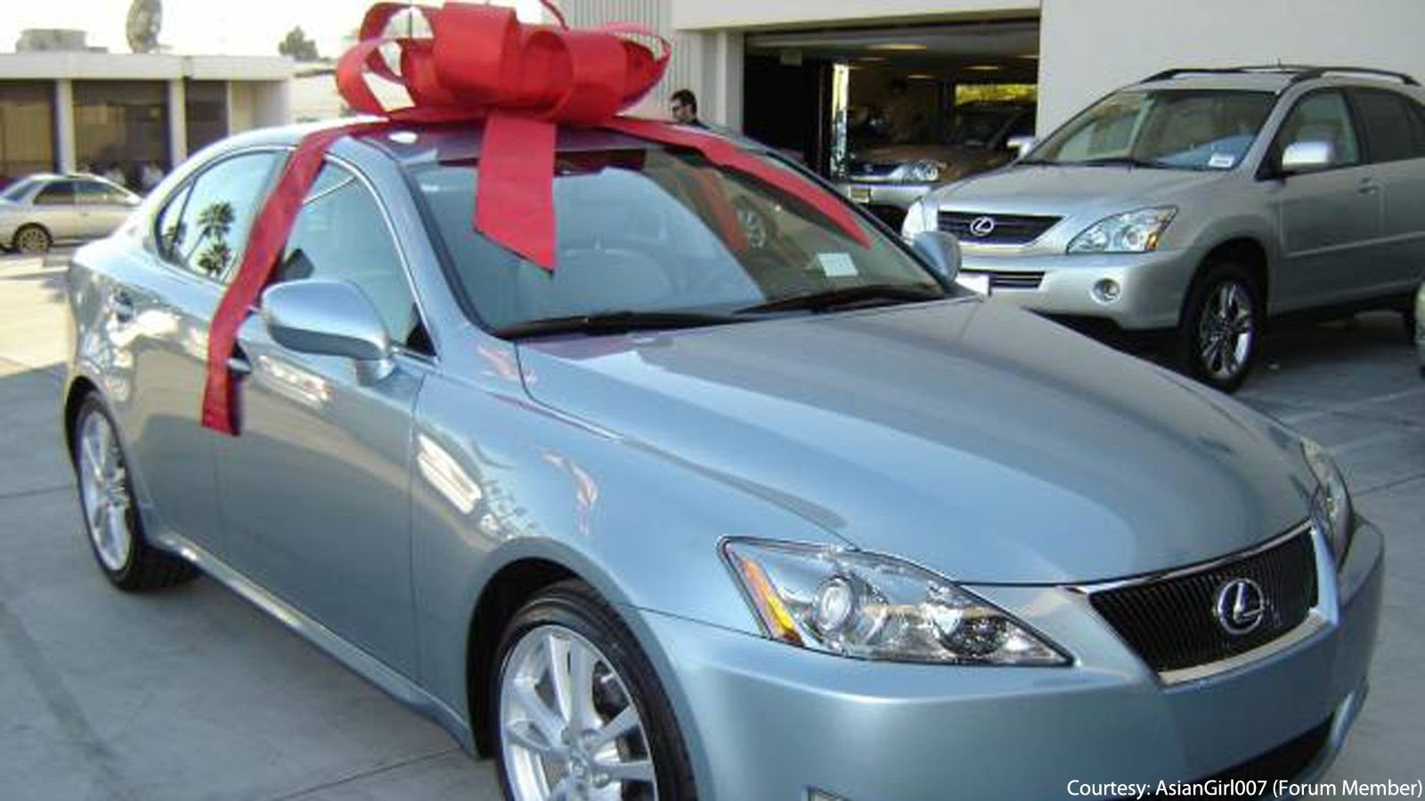 5 Facts about the Lexus Christmas Bows Clublexus