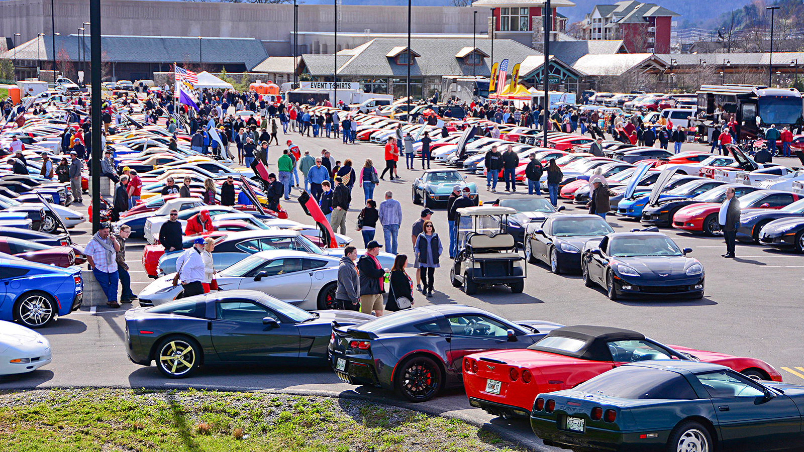 2019 Pigeon Corvette Expo Demolishes Attendance Record