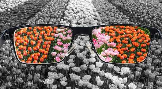 Image of a teenage boy staring into the distance.