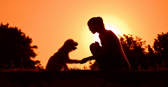 Silhouette of a woman and her dog against the sunset.