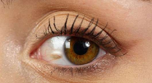 Close up image of a human eye.