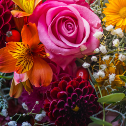 Exotic Colorful Bouquet of Flowers