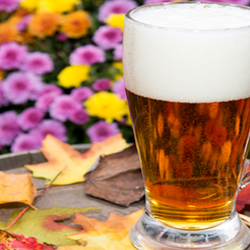 Beer glass on a tray in front of colorful flower bush