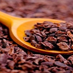 Cocoa nibs in a wooden spoon
