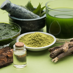 Neem tree materials and oils with mortar and pestle
