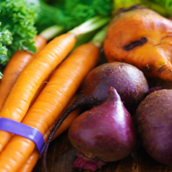 Harvested vegetables organized in bunches