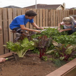 A family planting a garden
