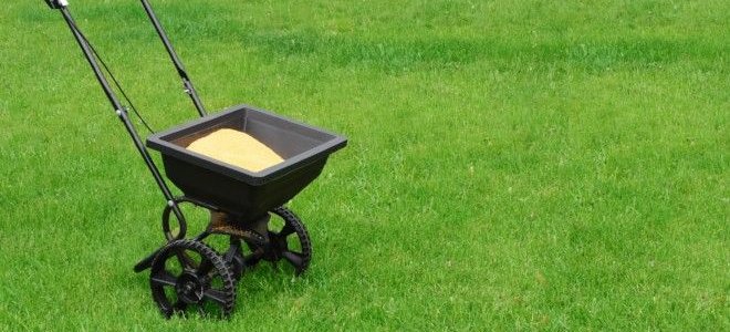seed spreader sitting on a lawn