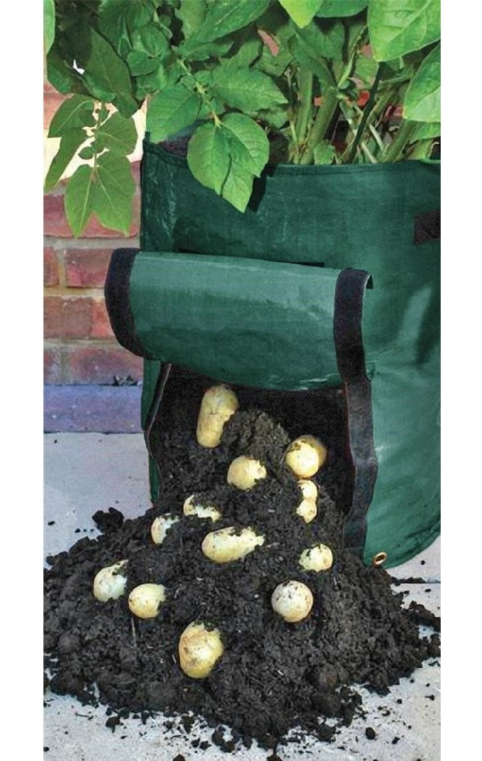 potato plant grow bag
