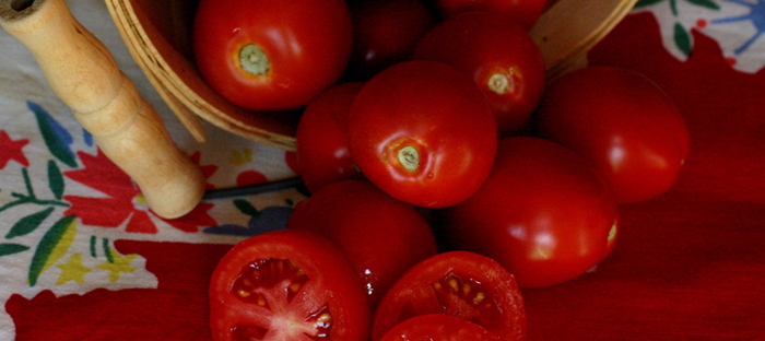 Tomato History and Lore