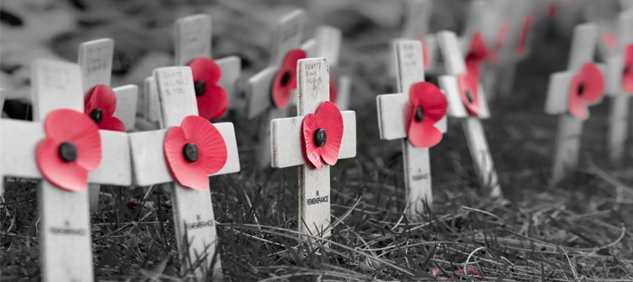 Small white crosses with remembrance poppies