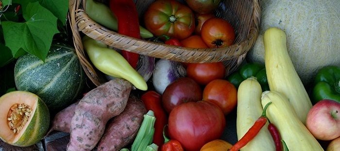 How To Select Seeds That Yield The Biggest Harvest Dave S Garden
