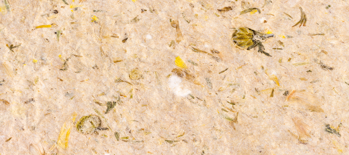 Phd dissertation image