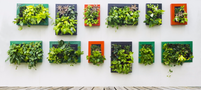 Vertical Gardening Best Products On The Market For Creating A Living Wall Dave S Garden - Indoor Living Wall Planters