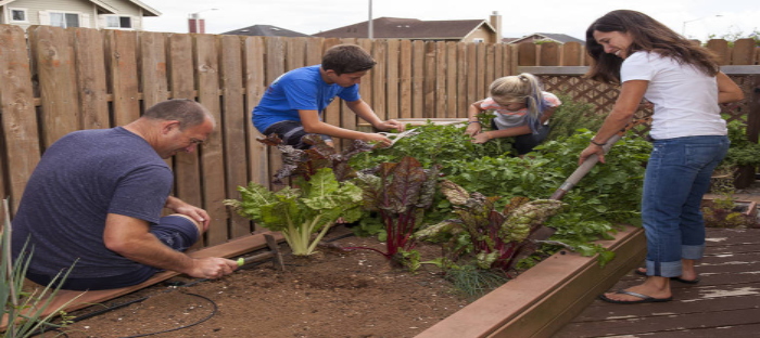 A family planting a garden