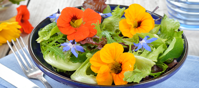 Nasturium Flowers in a Salad Bowl with Greens