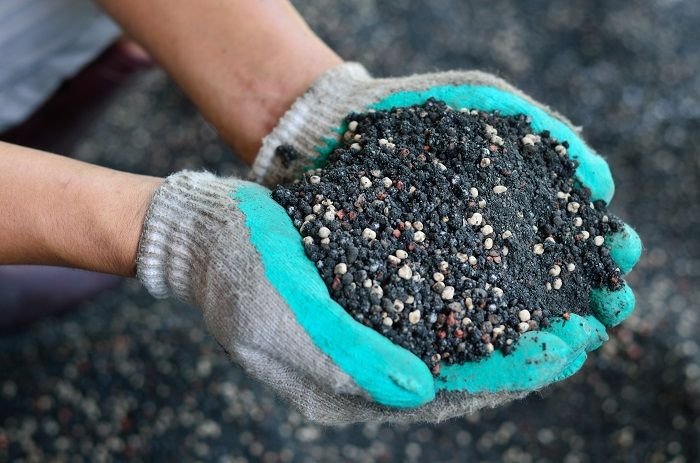  manuseando com segurança Alimentos Vegetais 