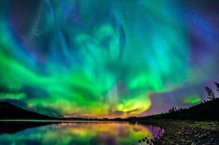 Gardening In The Land Of The Midnight Sun Iceland Dave S Garden