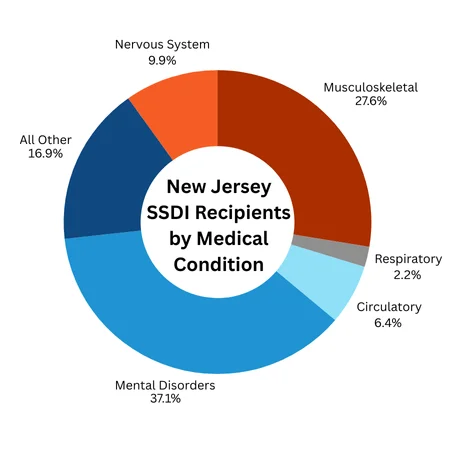 A pie graph showing major medical conditions that NJSSDI recipients have
