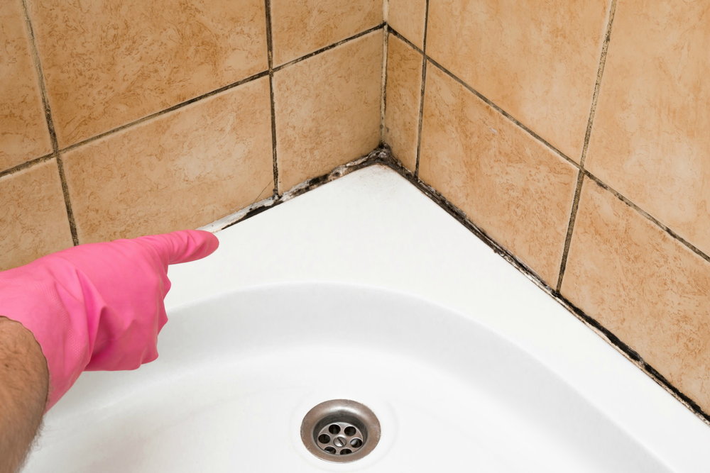 How to Clean Black Mold from a Shower | DoItYourself.com