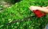 Trimming a hedge with an electric trimmer