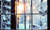A window with panes looking out at a snow covered forest. 