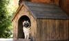 How to Build a Gable Roof for Your Dog House