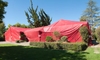 How to Prepare for Termite Tenting