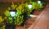 How to Clean Solar Garden Lights