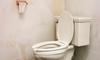 3 Ways to Treat Toilet Tank Mold