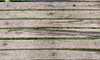 Deck with moss growing between the boards