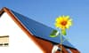 Harness Solar Power for Your Home and Garden