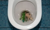 Clogged Toilet: How to Remove Toys and Objects