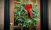 An evergreen wreath with a red bow hanging on a door.