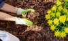Make Your Own Mulch