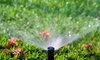 Choose the Right Sprinkler System for Your Yard