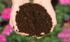 Making Potting Soil Mix: Three Tips