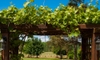An Arbor Can Add Style and Value to Your Yard