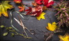 A bunch of fall leaves with a scissor and ribbon. 