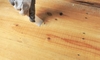 How to Sand Down Wood Fillers
