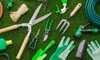 6 Basic Lawn Products You Should Have
