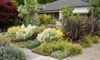 An Introduction to Xeriscaping
