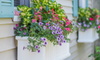 28 Ways to Add Curb Appeal for Less than $500