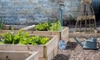 What Vegetables to Plant in Spring for a Summer Harvest